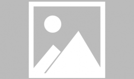 草神最新技能爆料图片,神秘力量觉醒，自然之力助战无敌